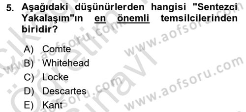 Felsefe Dersi 2022 - 2023 Yılı Yaz Okulu Sınav Soruları 5. Soru