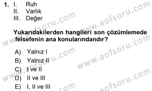 Felsefe Dersi 2023 - 2024 Yılı Yaz Okulu Sınav Soruları 1. Soru