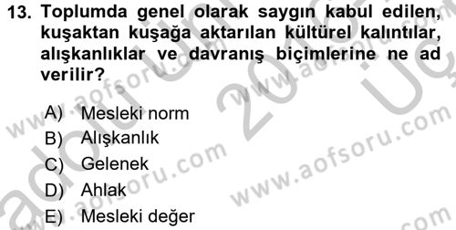 Eğitim Felsefesi Dersi 2016 - 2017 Yılı 3 Ders Sınav Soruları 13. Soru