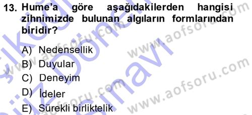 Modern Felsefe 1 Dersi 2013 - 2014 Yılı (Final) Dönem Sonu Sınav Soruları 13. Soru