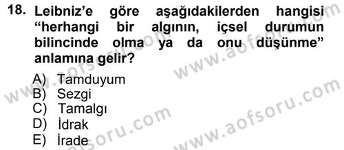 Modern Felsefe 1 Dersi Ara Sınavı Deneme Sınav Soruları 18. Soru