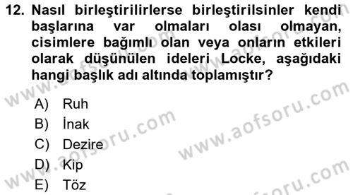 Modern Felsefe 1 Dersi 2016 - 2017 Yılı 3 Ders Sınav Soruları 12. Soru