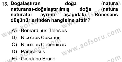 Modern Felsefe 1 Dersi Ara Sınavı Deneme Sınav Soruları 13. Soru