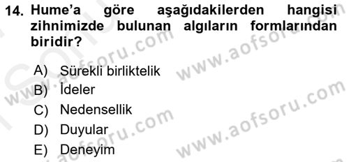 Modern Felsefe 1 Dersi 2016 - 2017 Yılı (Final) Dönem Sonu Sınav Soruları 14. Soru
