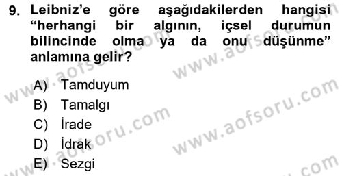 Modern Felsefe 1 Dersi 2017 - 2018 Yılı 3 Ders Sınav Soruları 9. Soru