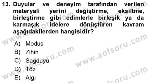Modern Felsefe 1 Dersi 2018 - 2019 Yılı (Final) Dönem Sonu Sınav Soruları 13. Soru