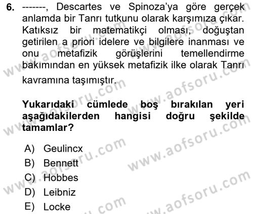 Modern Felsefe 1 Dersi 2018 - 2019 Yılı (Final) Dönem Sonu Sınav Soruları 6. Soru