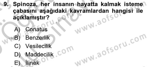 Modern Felsefe 1 Dersi 2018 - 2019 Yılı Yaz Okulu Sınav Soruları 9. Soru