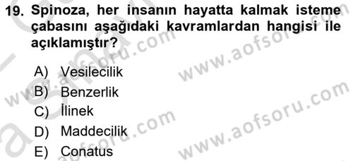 Modern Felsefe 1 Dersi 2021 - 2022 Yılı (Vize) Ara Sınav Soruları 19. Soru