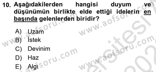 Modern Felsefe 1 Dersi 2021 - 2022 Yılı Yaz Okulu Sınav Soruları 10. Soru