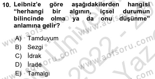 Modern Felsefe 1 Dersi 2022 - 2023 Yılı Yaz Okulu Sınav Soruları 10. Soru