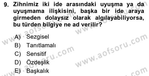 Modern Felsefe 1 Dersi 2023 - 2024 Yılı (Final) Dönem Sonu Sınav Soruları 9. Soru