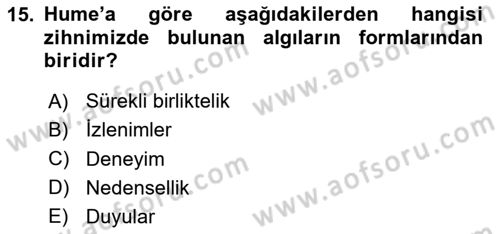 Modern Felsefe 1 Dersi 2023 - 2024 Yılı Yaz Okulu Sınav Soruları 15. Soru