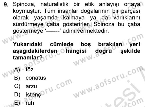 Modern Felsefe 1 Dersi 2023 - 2024 Yılı Yaz Okulu Sınav Soruları 9. Soru