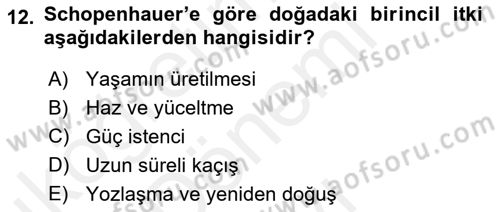 Modern Felsefe 2 Dersi 2018 - 2019 Yılı (Final) Dönem Sonu Sınav Soruları 12. Soru
