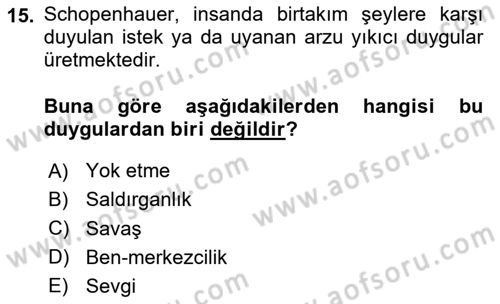 Modern Felsefe 2 Dersi 2023 - 2024 Yılı Yaz Okulu Sınav Soruları 15. Soru