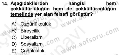Siyaset Felsefesi 2 Dersi 2018 - 2019 Yılı (Final) Dönem Sonu Sınav Soruları 14. Soru