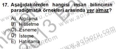 Zihin Felsefesi Dersi 2012 - 2013 Yılı (Final) Dönem Sonu Sınav Soruları 17. Soru