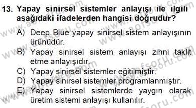 Zihin Felsefesi Dersi 2013 - 2014 Yılı (Final) Dönem Sonu Sınav Soruları 13. Soru