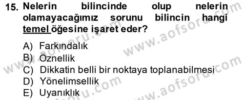 Zihin Felsefesi Dersi 2014 - 2015 Yılı (Final) Dönem Sonu Sınav Soruları 15. Soru