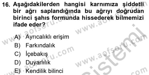 Zihin Felsefesi Dersi 2016 - 2017 Yılı 3 Ders Sınav Soruları 16. Soru