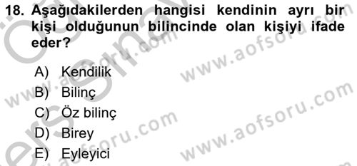 Zihin Felsefesi Dersi 2016 - 2017 Yılı 3 Ders Sınav Soruları 18. Soru