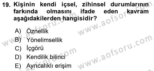 Zihin Felsefesi Dersi 2016 - 2017 Yılı 3 Ders Sınav Soruları 19. Soru