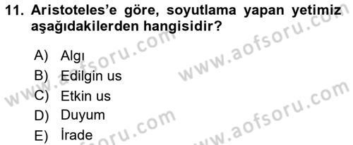 Zihin Felsefesi Dersi 2016 - 2017 Yılı (Vize) Ara Sınav Soruları 11. Soru