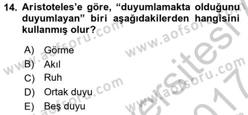 Zihin Felsefesi Dersi 2016 - 2017 Yılı (Vize) Ara Sınav Soruları 14. Soru