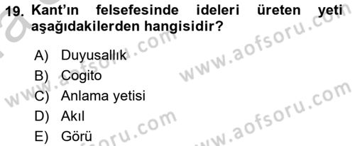 Zihin Felsefesi Dersi 2016 - 2017 Yılı (Vize) Ara Sınav Soruları 19. Soru
