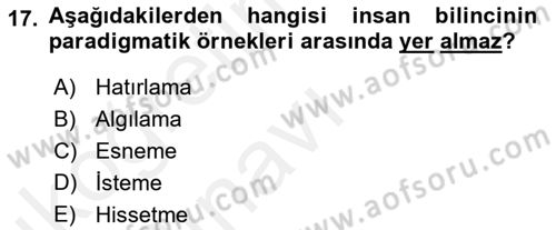 Zihin Felsefesi Dersi 2017 - 2018 Yılı 3 Ders Sınav Soruları 17. Soru
