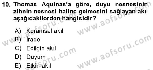 Zihin Felsefesi Dersi 2017 - 2018 Yılı (Vize) Ara Sınav Soruları 10. Soru