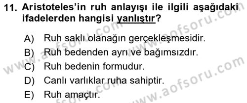 Zihin Felsefesi Dersi 2017 - 2018 Yılı (Vize) Ara Sınav Soruları 11. Soru
