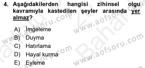 Zihin Felsefesi Dersi 2017 - 2018 Yılı (Vize) Ara Sınav Soruları 4. Soru