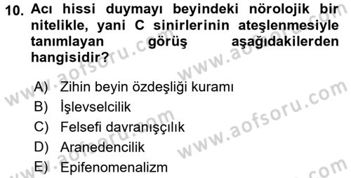 Zihin Felsefesi Dersi 2017 - 2018 Yılı (Final) Dönem Sonu Sınav Soruları 10. Soru