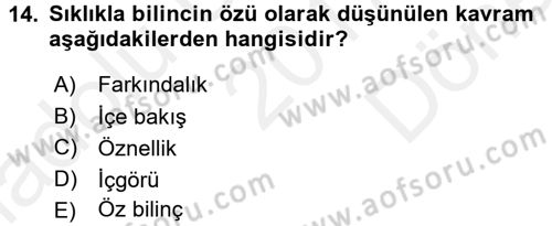 Zihin Felsefesi Dersi 2017 - 2018 Yılı (Final) Dönem Sonu Sınav Soruları 14. Soru