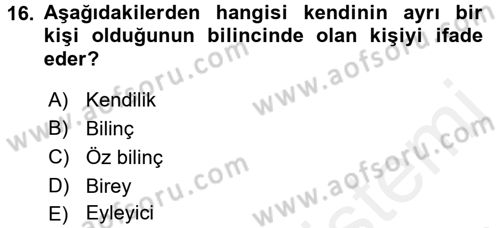 Zihin Felsefesi Dersi 2017 - 2018 Yılı (Final) Dönem Sonu Sınav Soruları 16. Soru