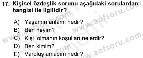 Zihin Felsefesi Dersi 2017 - 2018 Yılı (Final) Dönem Sonu Sınav Soruları 17. Soru