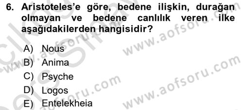 Zihin Felsefesi Dersi 2018 - 2019 Yılı 3 Ders Sınav Soruları 6. Soru