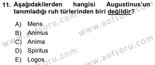Zihin Felsefesi Dersi 2018 - 2019 Yılı (Vize) Ara Sınav Soruları 11. Soru