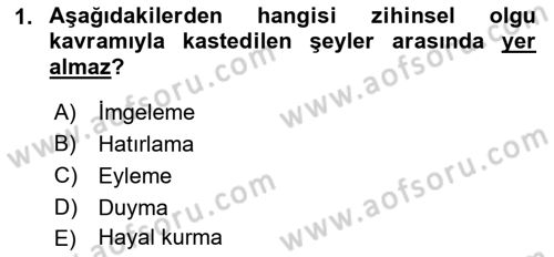 Zihin Felsefesi Dersi 2018 - 2019 Yılı (Final) Dönem Sonu Sınav Soruları 1. Soru