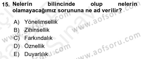 Zihin Felsefesi Dersi 2018 - 2019 Yılı (Final) Dönem Sonu Sınav Soruları 15. Soru