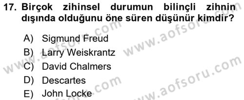 Zihin Felsefesi Dersi 2018 - 2019 Yılı (Final) Dönem Sonu Sınav Soruları 17. Soru