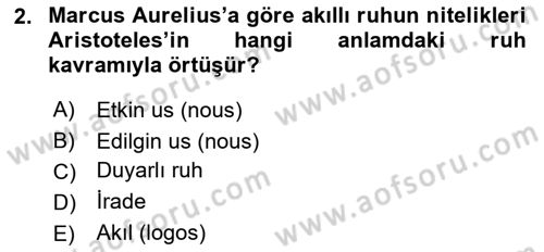 Zihin Felsefesi Dersi 2018 - 2019 Yılı (Final) Dönem Sonu Sınav Soruları 2. Soru