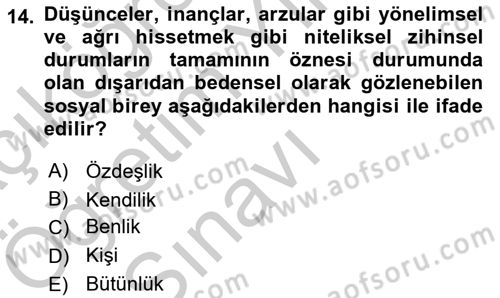 Zihin Felsefesi Dersi 2018 - 2019 Yılı Yaz Okulu Sınav Soruları 14. Soru