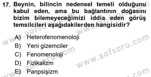 Zihin Felsefesi Dersi 2018 - 2019 Yılı Yaz Okulu Sınav Soruları 17. Soru