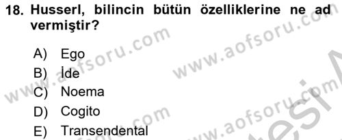 Zihin Felsefesi Dersi 2018 - 2019 Yılı Yaz Okulu Sınav Soruları 18. Soru
