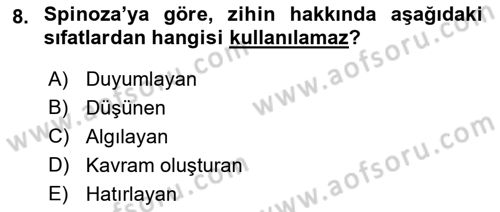 Zihin Felsefesi Dersi 2018 - 2019 Yılı Yaz Okulu Sınav Soruları 8. Soru