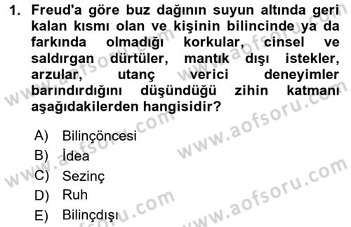 Zihin Felsefesi Dersi 2020 - 2021 Yılı Yaz Okulu Sınav Soruları 1. Soru