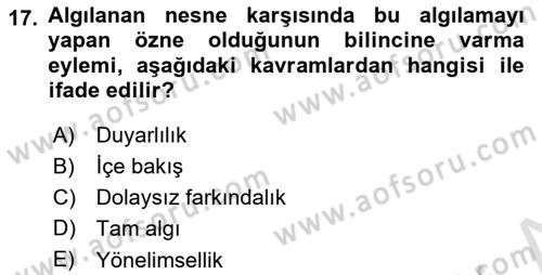 Zihin Felsefesi Dersi 2020 - 2021 Yılı Yaz Okulu Sınav Soruları 17. Soru
